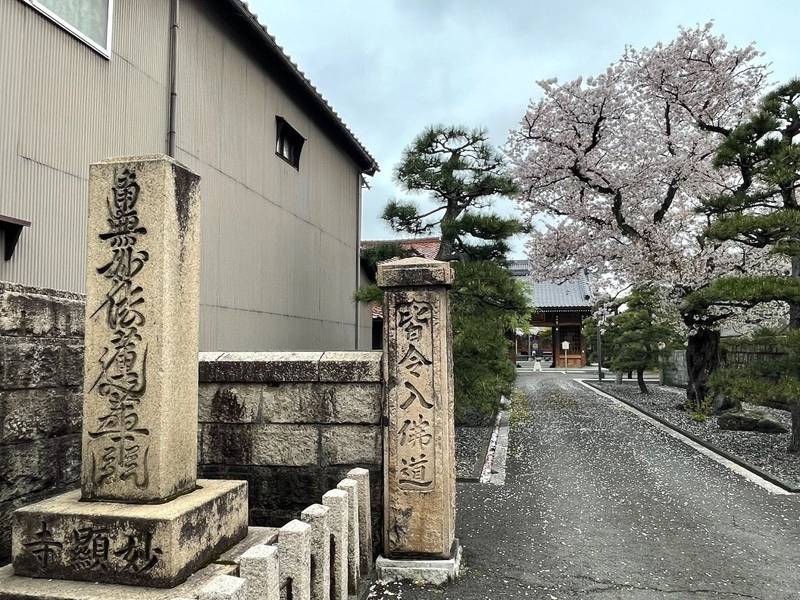 妙顕寺,福井県敦賀市元町9-18