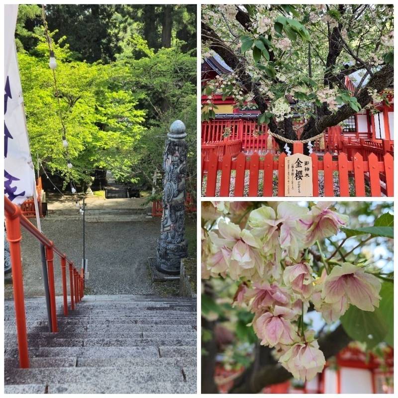 金櫻神社,山梨県甲府市御岳町2347