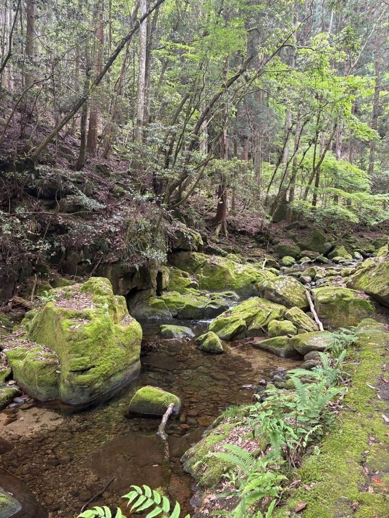 龍鎮神社,奈良県宇陀市榛原荷阪