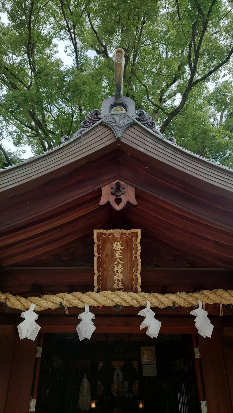 勝軍八幡神社,愛媛県松山市居相2-2-1