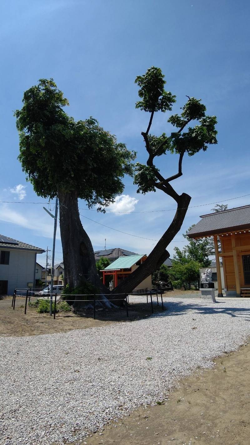 田中島神社,群馬県伊勢崎市田中島1475-6