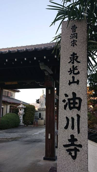 油川寺,見どころ,ながまつ・西源寺Jr.