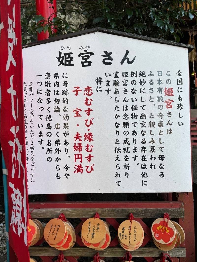姫宮神社,徳島県徳島市新町橋２丁目２１