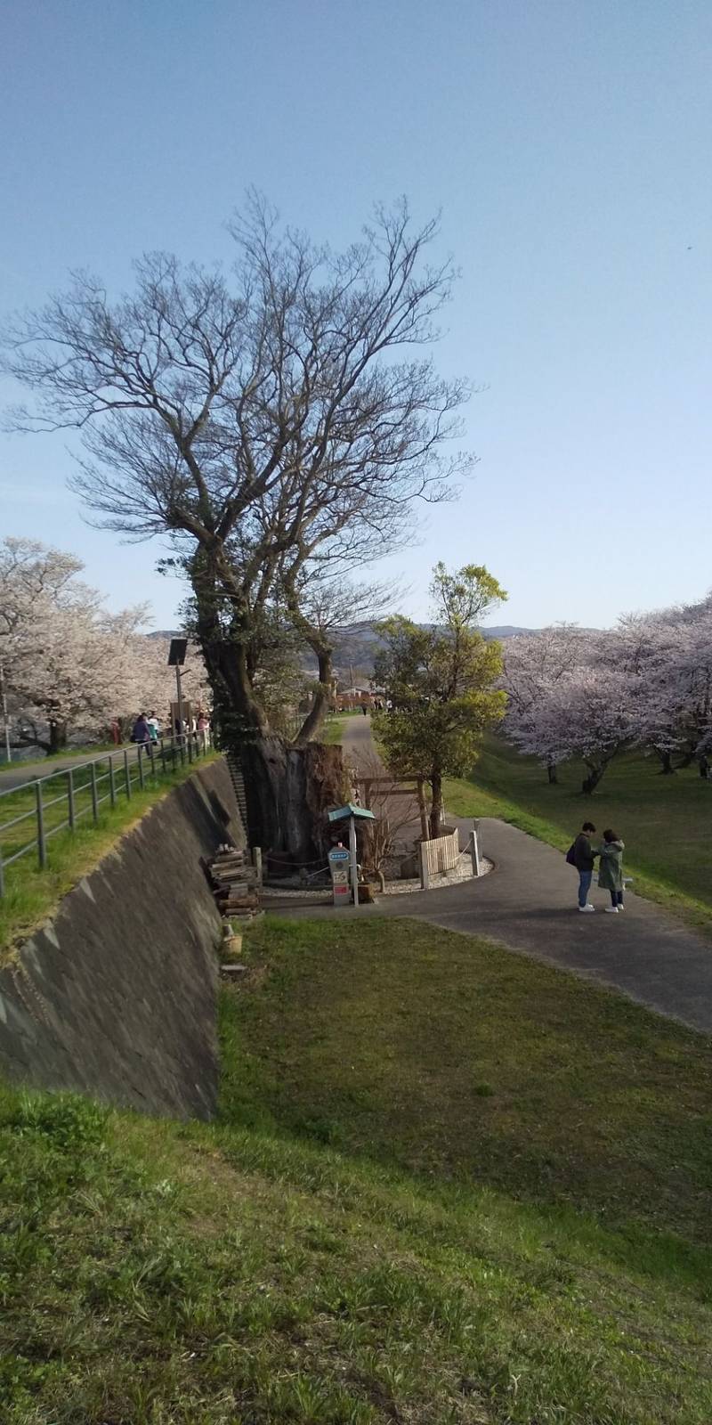 楠大明神,三重県伊勢市中島２丁目１６−２