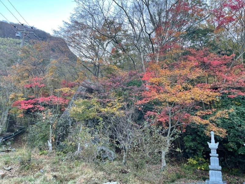 最乗寺箱根別院,神奈川県足柄下郡箱根町強羅
