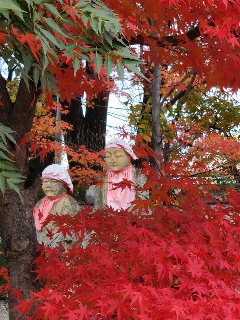 長楽寺,福島県福島市舟場町3-10