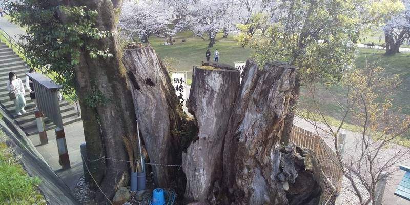 楠大明神,三重県伊勢市中島２丁目１６−２
