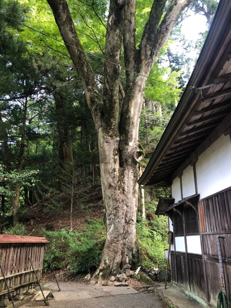 丹生川上神社下社,奈良県吉野郡下市町長谷1-1