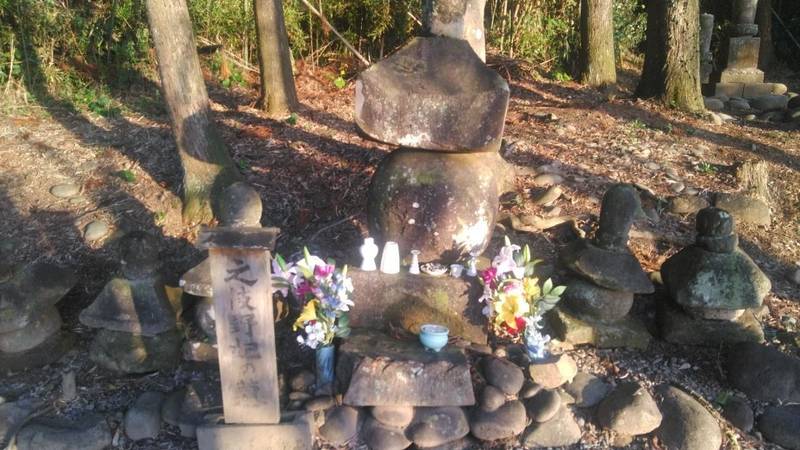 高鍋大年神社,宮崎県児湯郡高鍋町持田3762-1