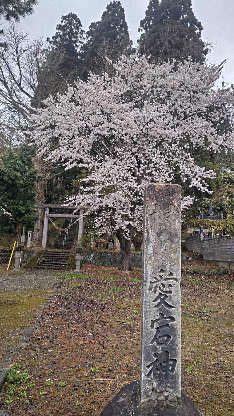 愛宕神社 (海味)の見どころ