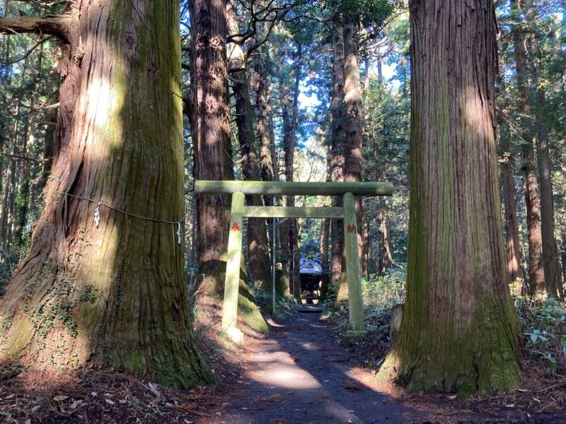 青山神社,茨城県東茨城郡城里町大字上青山229