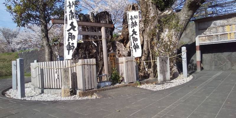 楠大明神,三重県伊勢市中島２丁目１６−２