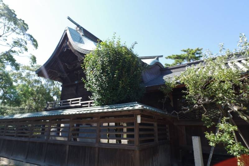 弓削神社 越智郡上島町/愛媛県 Omairi(おまいり)
