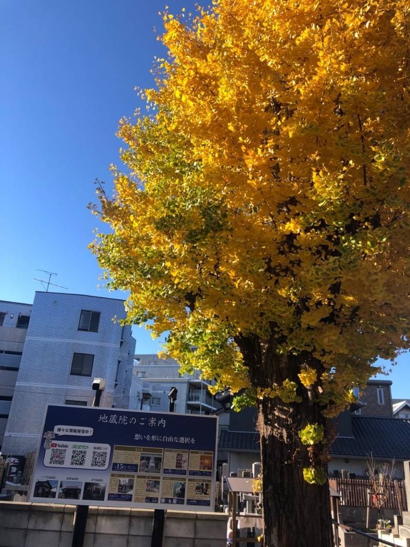 地蔵院,千葉県船橋市海神1-21-22