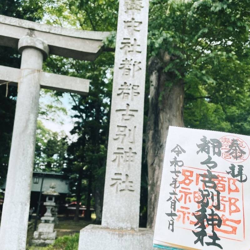 都々古別神社 (八槻明神),福島県東白川郡棚倉町八槻字大宮224