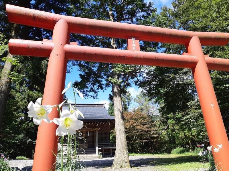 龍王神社,愛媛県西予市野村町大野ヶ原10-153
