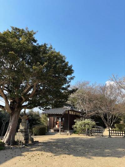 長徳寺（山口市）,見どころ,そわか