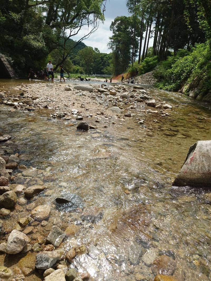 四阿屋神社,佐賀県鳥栖市牛原町