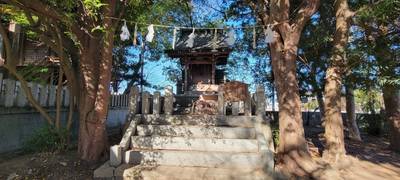 白髭神社,見どころ,むつきゅん