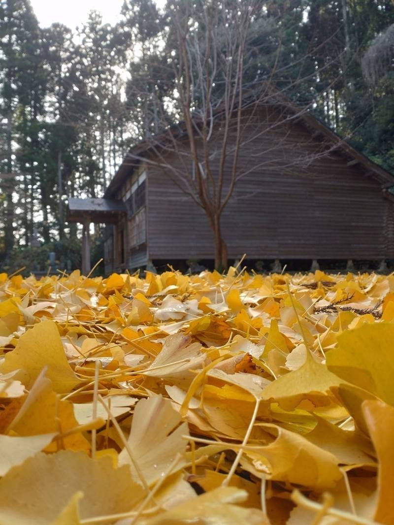 常通寺,石川県七尾市小島町チ78
