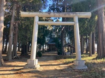 今鹿島神社,見どころ,waiwai