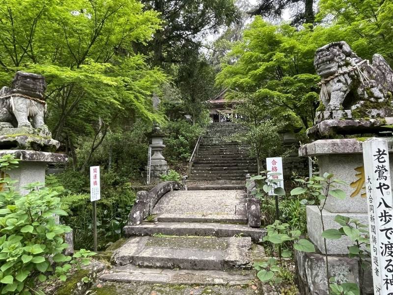 宝八幡宮,大分県玖珠郡九重町大字松木1371