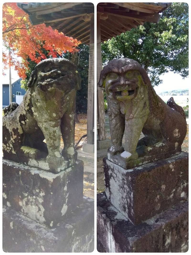 市原若宮八幡神社,佐賀県三養基郡みやき町白壁1319