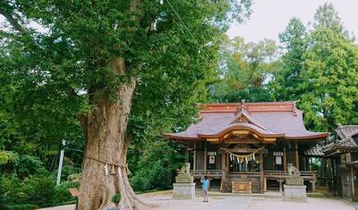 茨城県の御朱印 神社 お寺 人気ランキング21 Omairi おまいり