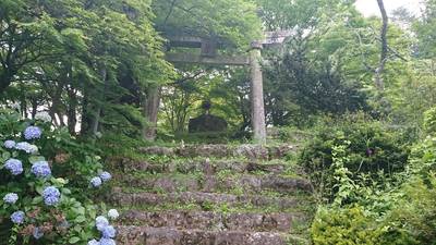 北原金峰山,見どころ,ながまつ・西源寺Jr.