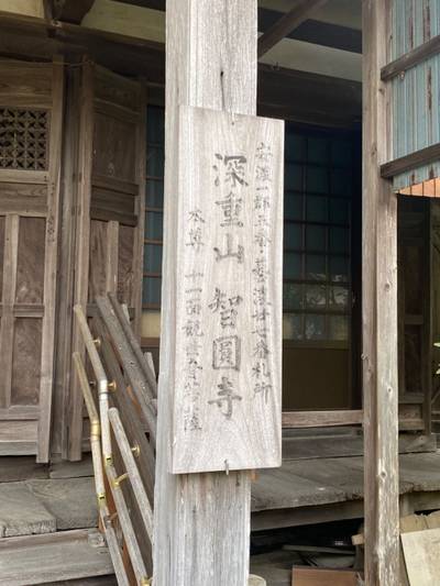 智円寺,見どころ,さかちゃん