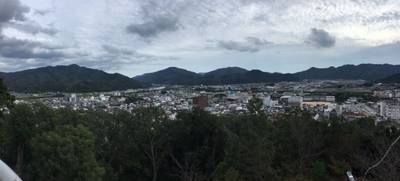 大歳神社,周辺情報,おかさ