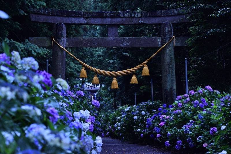 磯山神社 見どころ 鹿沼市 栃木県 Omairi おまいり 磯山神社 見どころ 鹿沼市 栃木県 Omairi おまいり