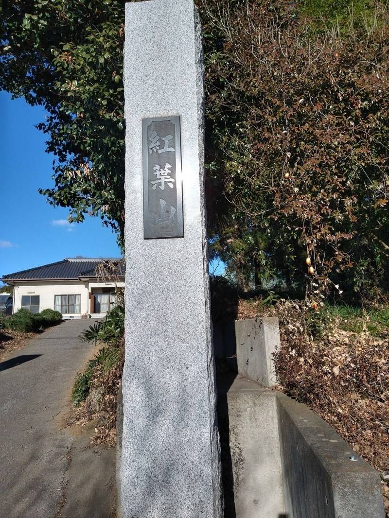 正明院,群馬県邑楽郡板倉町海老瀬7369
