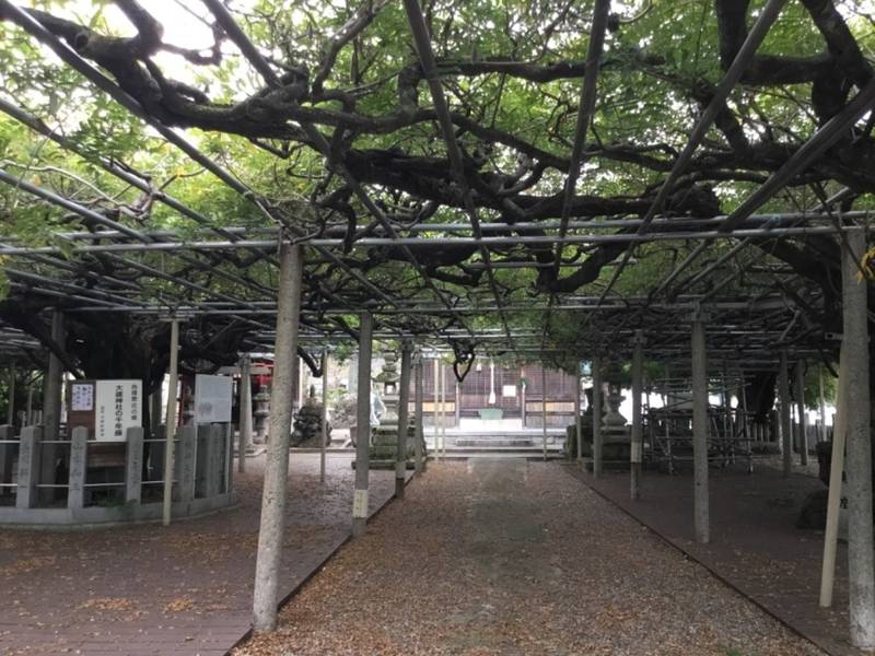 大歳神社,兵庫県宍粟市山崎町上寺122