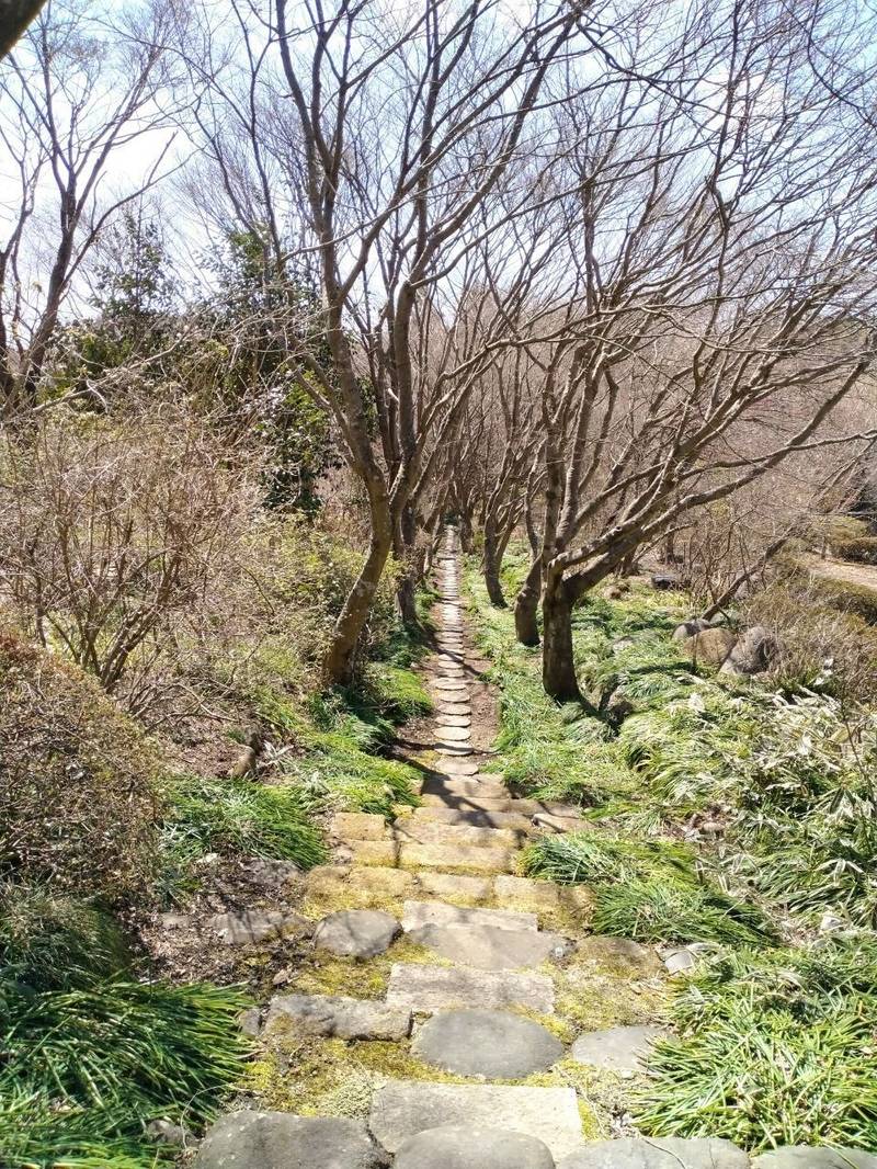 龍峩山 雲門寺,群馬県安中市松井田町上増田６２４