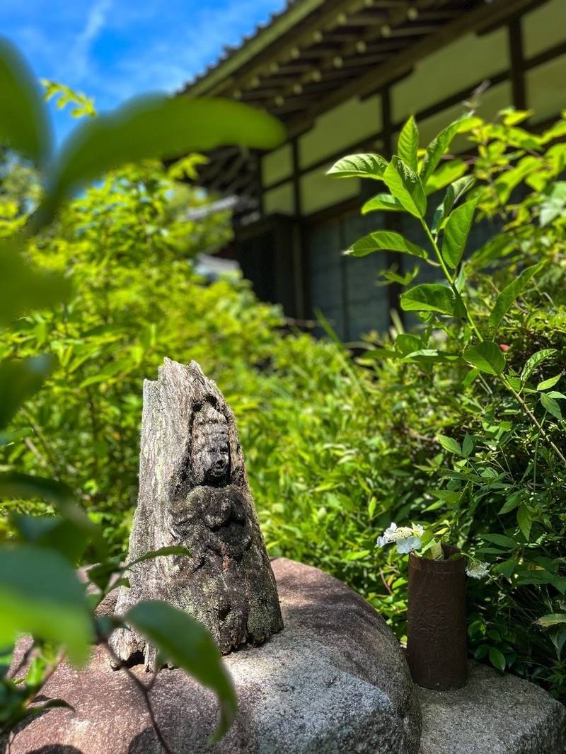 傳衣山 黄梅院,神奈川県鎌倉市山ノ内428 (円覚寺内)