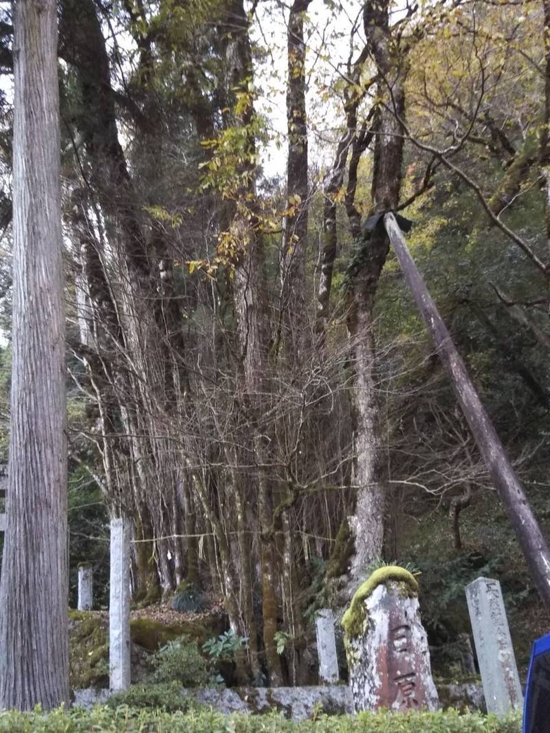 日原神社,島根県雲南市大東町中湯石1446番地