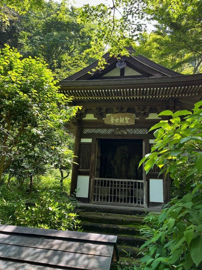 傳衣山 黄梅院,神奈川県鎌倉市山ノ内428 (円覚寺内)