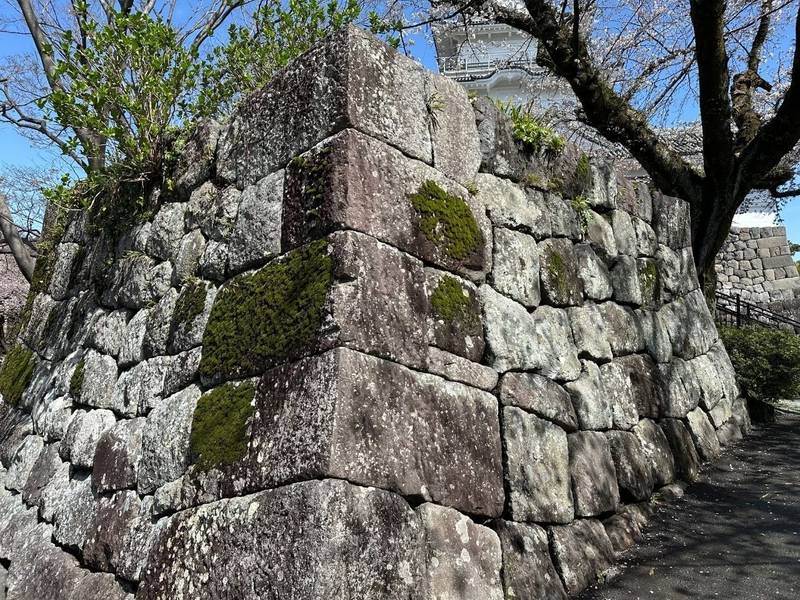 小田原城,神奈川県小田原市城内