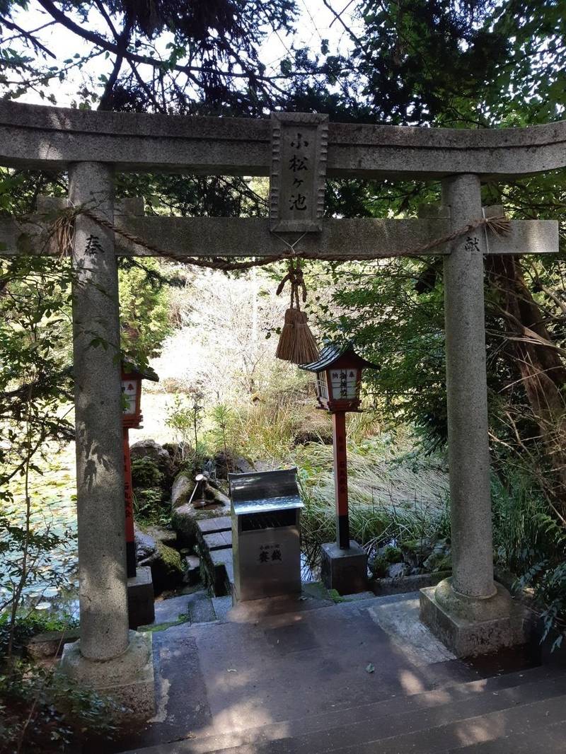 龍王神社,愛媛県西予市野村町大野ヶ原10-153