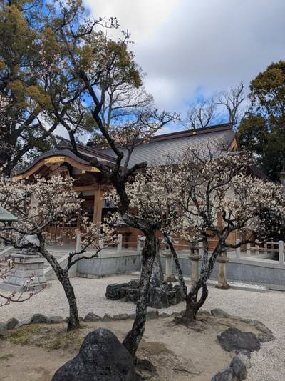 久居八幡宮,見どころ,コッシー