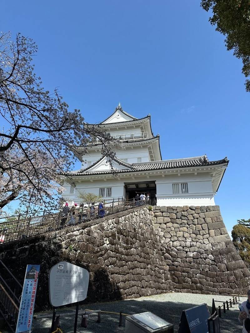 小田原城,神奈川県小田原市城内