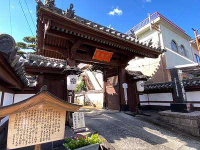 大橋寺,見どころ,行橋のやっさん