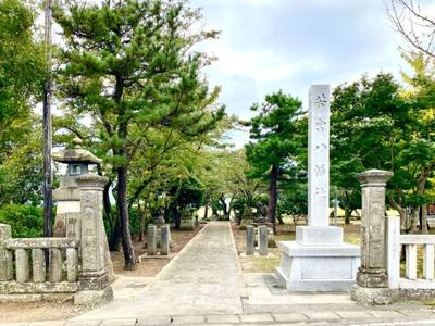 若宮八幡社,見どころ,を神