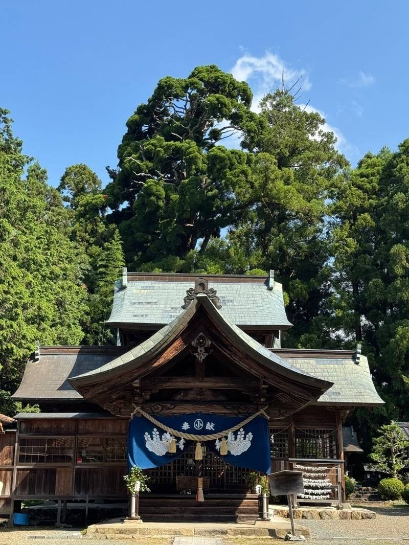小村神社,高知県高岡郡日高村下分1794