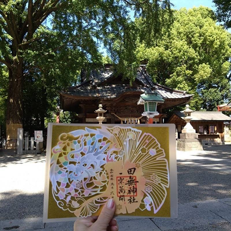田無神社,東京都西東京市田無町3丁目7−4