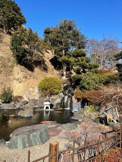 妙福寺,見どころ,ぷん
