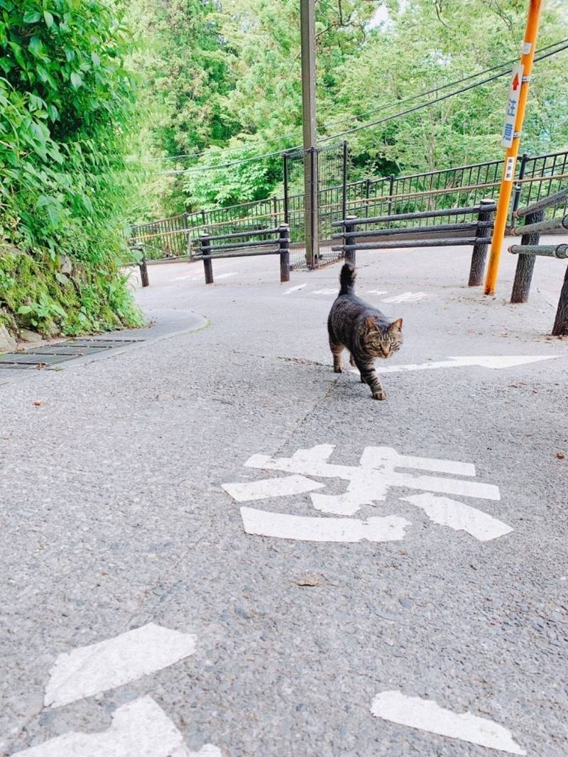 武蔵御嶽神社 御朱印 青梅市 東京都 Omairi おまいり