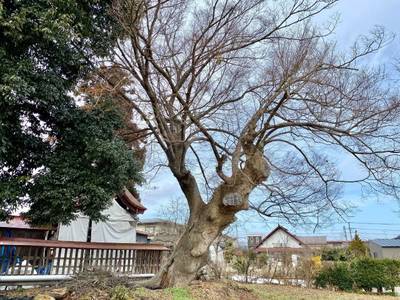 二位神社,見どころ,を神