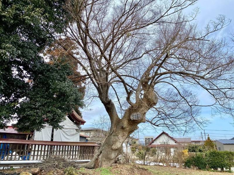 二位神社,山形県山形市二位田５０６